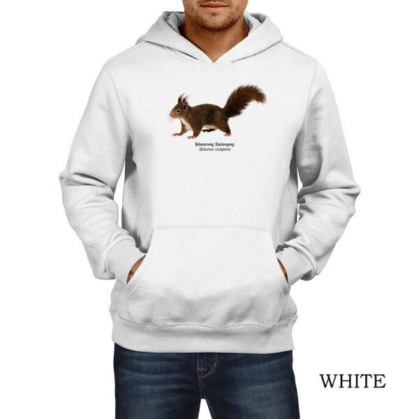 φούτερ hoodie πτηνά πουλιά θηλαστικά έντομα αράχνες πανίδα ζώα της Ελλάδας